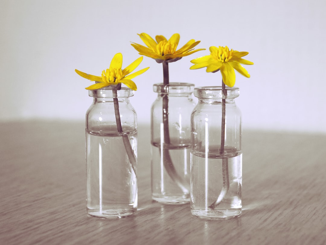 Jars Metro: The Ultimate Guide to Urban Canning